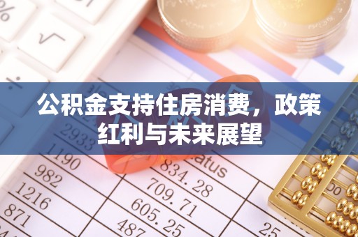 富源公积金支持住房消费，政策红利与未来展望
